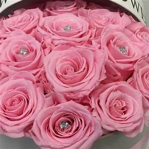 Pink Roses Cube