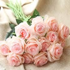 Pink Roses Cube