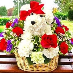 Puppy Love Bouquet