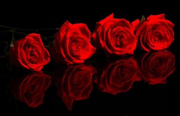 Red Passion