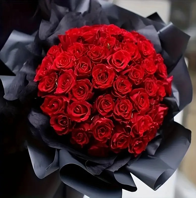 Velvet Radiance – 50 Ecuadorian Red Roses