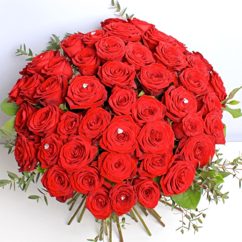 Velvet Radiance – 50 Ecuadorian Red Roses