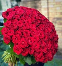 Luxury 100  Red Roses Extravaganza