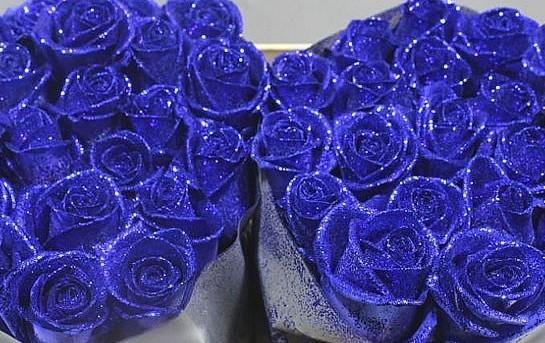 Glitter Blue Roses