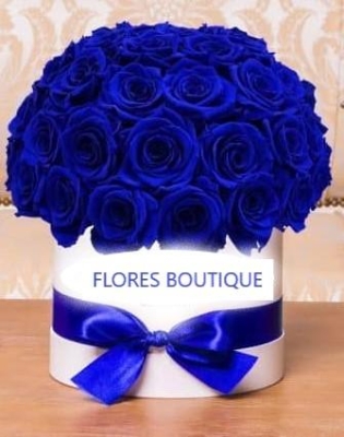 Blue rose