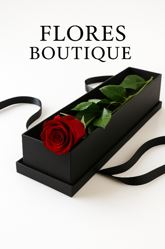 Single red Rose