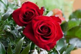 Celebrate Women’s Day with the 'I ❤️ U' Rose Box