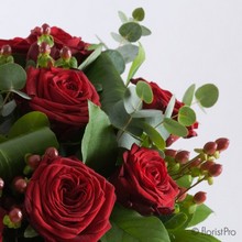 Annabella Duchess Red Roses
