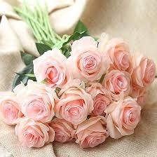 Pink Roses Cube