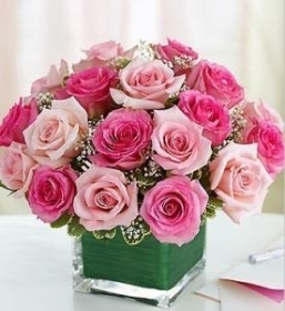 Pink Roses Cube