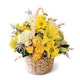 Blossom & Bloom