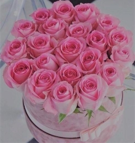 Hat Box Sweet Avalanche Roses
