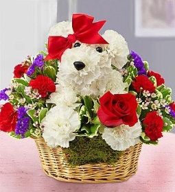 White Puppy Bouquet