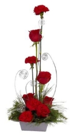 Christmas Rose Passion Bouquet