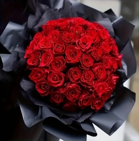 Velvet Radiance – 50 Ecuadorian Red Roses