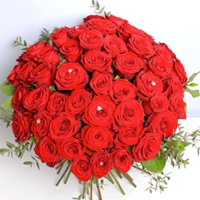 Velvet Radiance – 50 Ecuadorian Red Roses