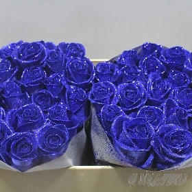 Blue rose