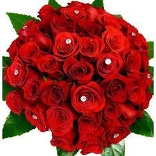 Valentine's Love Roses