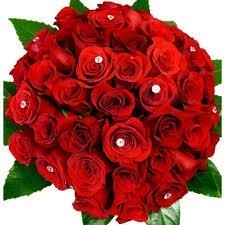 Timeless Love Roses