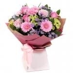 Pinks Warm Wishes