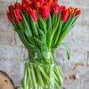 Celebrate Women’s Day with the Tulip Delight Bouquet