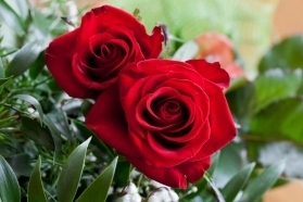 Celebrate Women’s Day with the 'I ❤️ U' Rose Box
