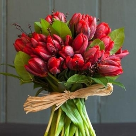Eternal Love Red Tulips