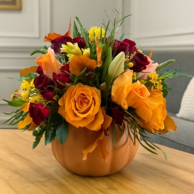 Fresh Fall Pumpkin