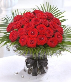 Romantic Sparkle