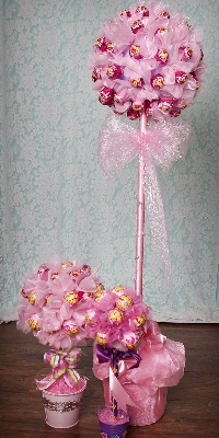 Small ZOOM Strawberry Bubble Gum Pink sweet