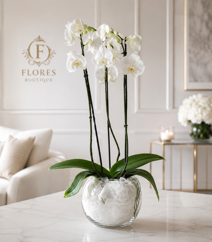 Orchid Bowl Luxe