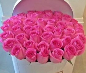 Hat Box Avalanche Allure