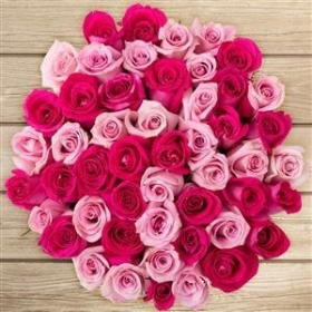 Hat Box Avalanche Allure