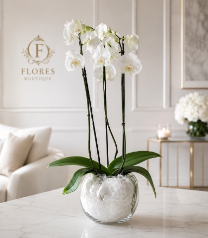 Orchid Bowl Luxe