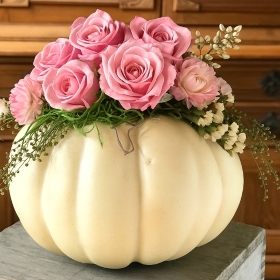 Blush Pumpkin