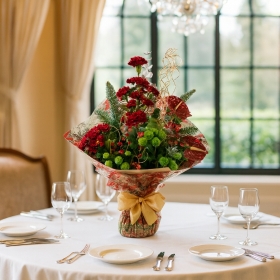 Festive Reindeer Red.