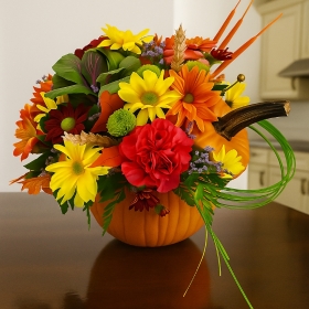 Pumpkin Harvest Bloom
