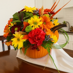 Pumpkin Harvest Bloom